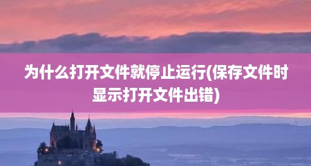 为什么打开文件就停止运行(保存文件时显示打开文件出错)
