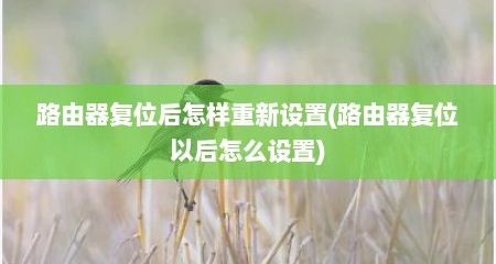 路由器复位后怎样重新设置(路由器复位以后怎么设置)