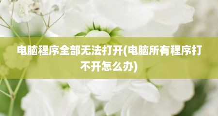 电脑程序全部无法打开(电脑所有程序打不开怎么办)