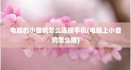 电脑的小音响怎么连接手机(电脑上小音响怎么插)