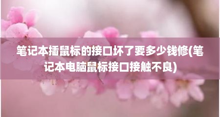 笔记本插鼠标的接口坏了要多少钱修(笔记本电脑鼠标接口接触不良)