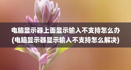 电脑显示器上面显示输入不支持怎么办(电脑显示器显示输入不支持怎么解决)