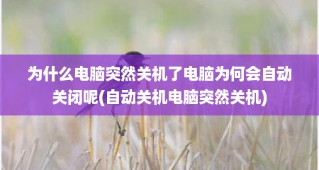 为什么电脑突然关机了电脑为何会自动关闭呢(自动关机电脑突然关机)