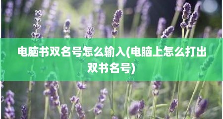 电脑书双名号怎么输入(电脑上怎么打出双书名号)