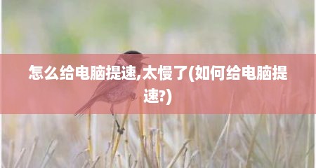 怎么给电脑提速,太慢了(如何给电脑提速?)