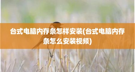 台式电脑内存条怎样安装(台式电脑内存条怎么安装视频)