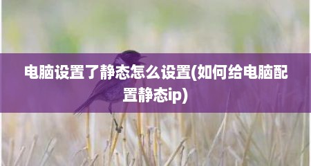 电脑设置了静态怎么设置(如何给电脑配置静态ip)