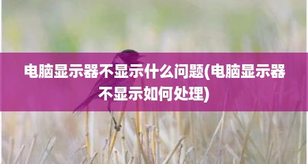 电脑显示器不显示什么问题(电脑显示器不显示如何处理)
