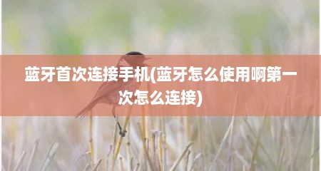 蓝牙首次连接手机(蓝牙怎么使用啊第一次怎么连接)