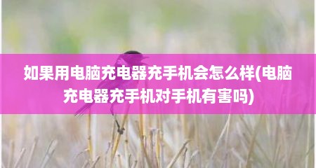 如果用电脑充电器充手机会怎么样(电脑充电器充手机对手机有害吗)