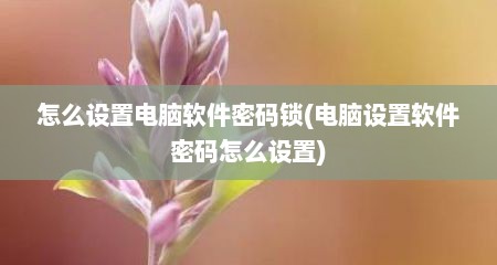 怎么设置电脑软件密码锁(电脑设置软件密码怎么设置)