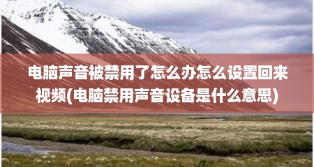 电脑声音被禁用了怎么办怎么设置回来视频(电脑禁用声音设备是什么意思)