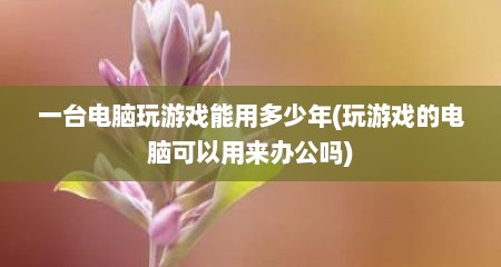 一台电脑玩游戏能用多少年(玩游戏的电脑可以用来办公吗)