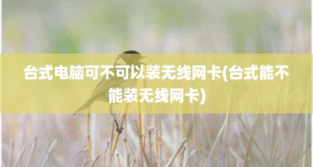 台式电脑可不可以装无线网卡(台式能不能装无线网卡)
