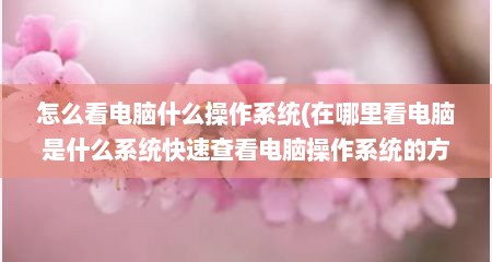 怎么看电脑什么操作系统(在哪里看电脑是什么系统快速查看电脑操作系统的方法)