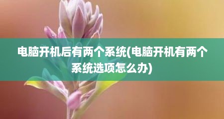 电脑开机后有两个系统(电脑开机有两个系统选项怎么办)