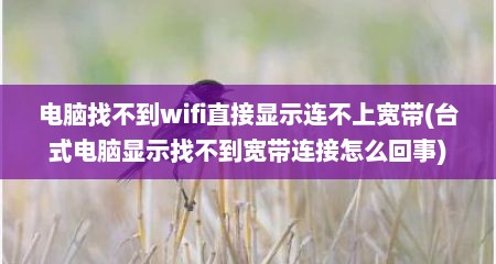 电脑找不到wifi直接显示连不上宽带(台式电脑显示找不到宽带连接怎么回事)