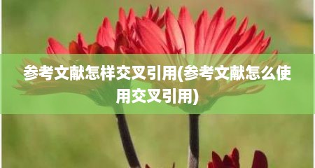 参考文献怎样交叉引用(参考文献怎么使用交叉引用)