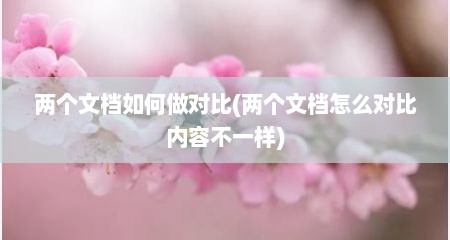 两个文档如何做对比(两个文档怎么对比内容不一样)