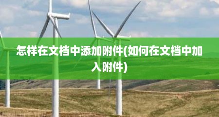 怎样在文档中添加附件(如何在文档中加入附件)