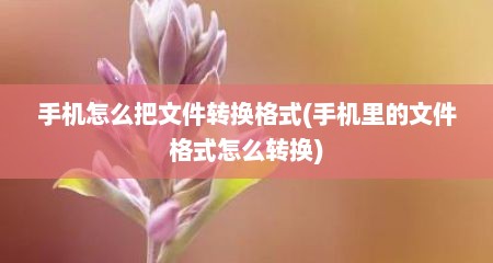 手机怎么把文件转换格式(手机里的文件格式怎么转换)