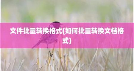文件批量转换格式(如何批量转换文档格式)