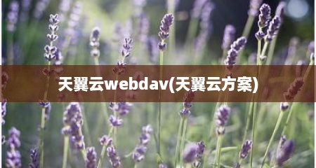 天翼云webdav(天翼云方案)