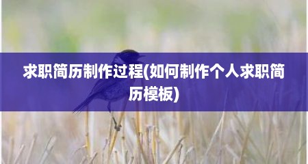 求职简历制作过程(如何制作个人求职简历模板)