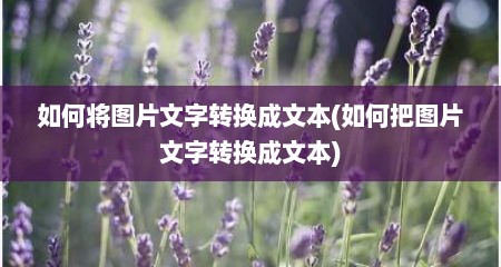 如何将图片文字转换成文本(如何把图片文字转换成文本)