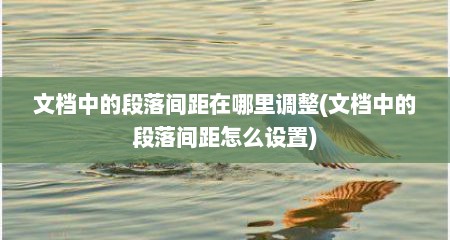 文档中的段落间距在哪里调整(文档中的段落间距怎么设置)