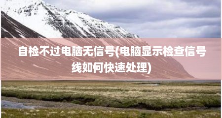 自检不过电脑无信号(电脑显示检查信号线如何快速处理)