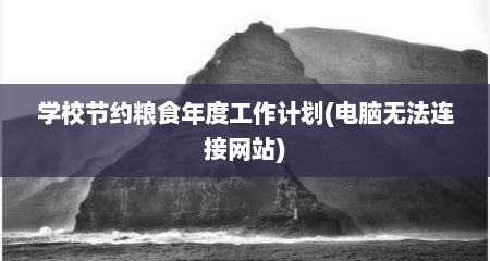 学校节约粮食年度工作计划(电脑无法连接网站)