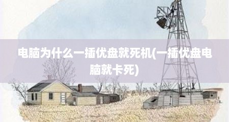 电脑为什么一插优盘就死机(一插优盘电脑就卡死)