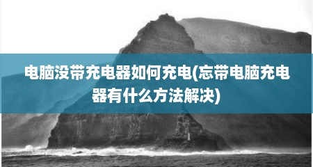 电脑没带充电器如何充电(忘带电脑充电器有什么方法解决)