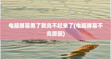 电脑屏幕黑了就亮不起来了(电脑屏幕不亮原因)