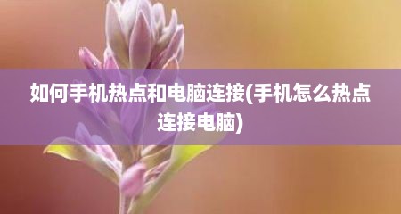 如何手机热点和电脑连接(手机怎么热点连接电脑)