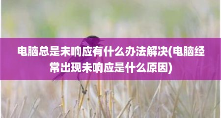 电脑总是未响应有什么办法解决(电脑经常出现未响应是什么原因)