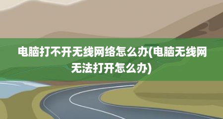 电脑打不开无线网络怎么办(电脑无线网无法打开怎么办)