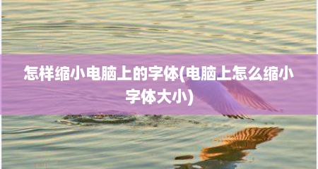怎样缩小电脑上的字体(电脑上怎么缩小字体大小)