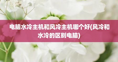 电脑水冷主机和风冷主机哪个好(风冷和水冷的区别电脑)