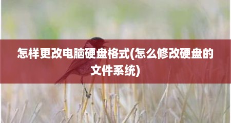 怎样更改电脑硬盘格式(怎么修改硬盘的文件系统)