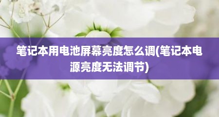 笔记本用电池屏幕亮度怎么调(笔记本电源亮度无法调节)