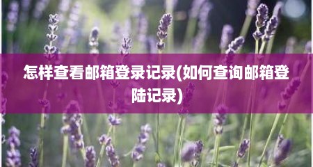 怎样查看邮箱登录记录(如何查询邮箱登陆记录)