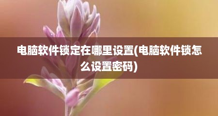 电脑软件锁定在哪里设置(电脑软件锁怎么设置密码)