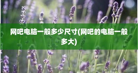 网吧电脑一般多少尺寸(网吧的电脑一般多大)