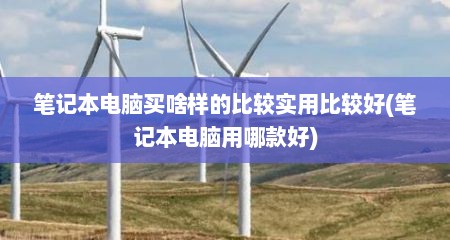 笔记本电脑买啥样的比较实用比较好(笔记本电脑用哪款好)