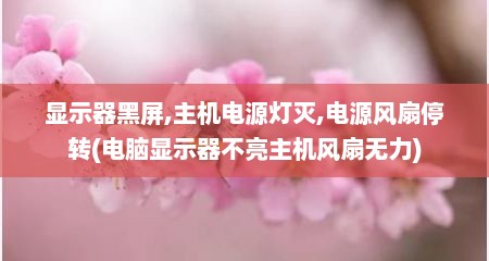 显示器黑屏,主机电源灯灭,电源风扇停转(电脑显示器不亮主机风扇无力)