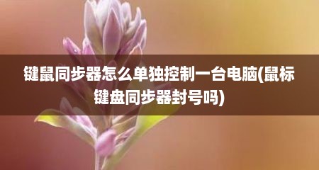 键鼠同步器怎么单独控制一台电脑(鼠标键盘同步器封号吗)