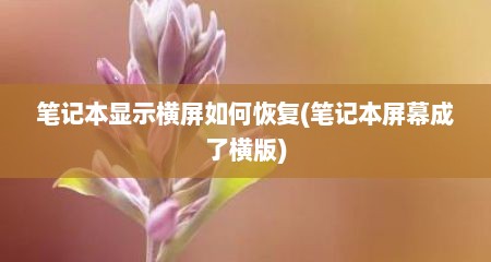 笔记本显示横屏如何恢复(笔记本屏幕成了横版)