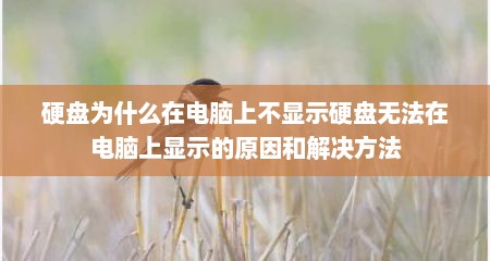 硬盘为什么在电脑上不显示硬盘无法在电脑上显示的原因和解决方法